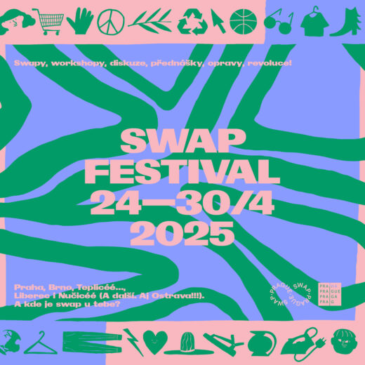 swap festival